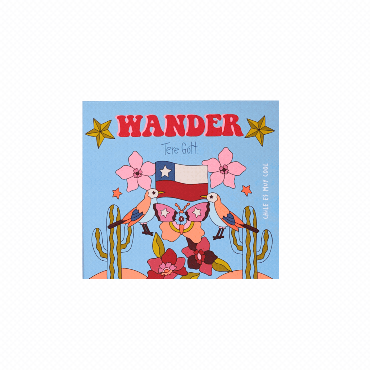 LIBRO WANDER