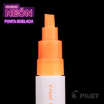 PINTOR NEON B